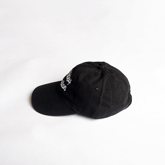 BLUESCENTRIC WHITNEY HOUSTON UNSTRUCTURED HAT