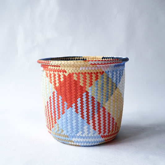 PI PROJECT MIMBRE MIXTECO S