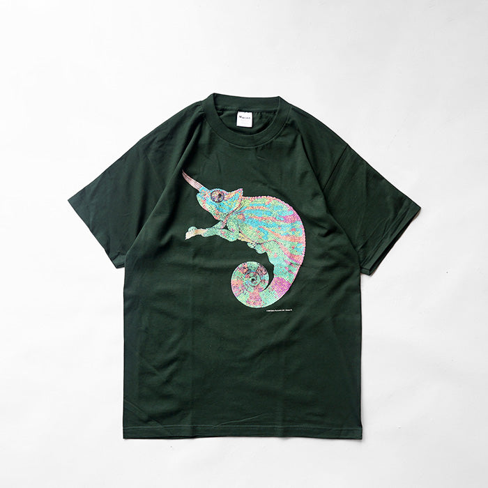 Cotton Expressions　Chameleon T-Shirt
