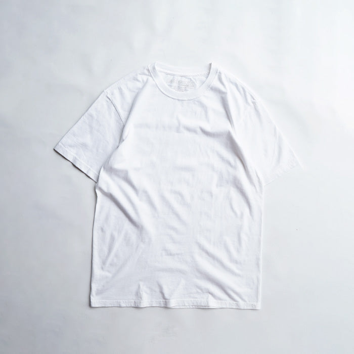 DEAD STOCK　Patagonia BLANK ORGANIC COTTON TEE